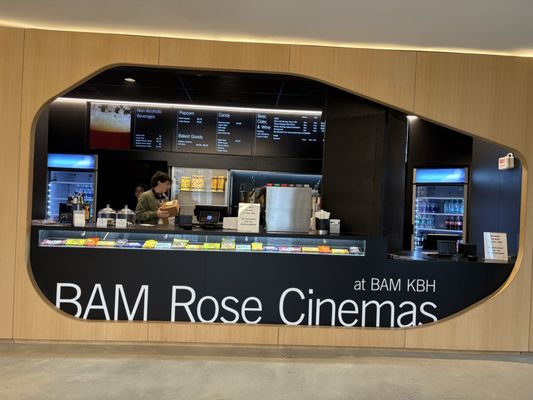 Brooklyn Academy of Music by null