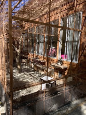 Living Free Animal Sanctuary 58 Photos 22 Reviews Animal Shelters 54250 Keen Camp Rd Mountain Center Ca Phone Number Yelp