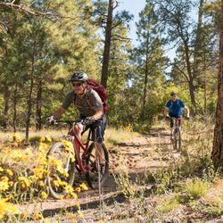 Outspoken Tours - Riding out of the Pines