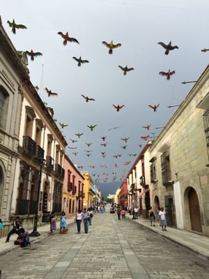 Andador Turístico by null