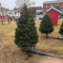 Danny's Christmas Trees And Wreaths - 7ft