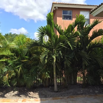 Zito Landscape Design - Landscaping Near Me Zito Landscape Design - Landscaping Near Me