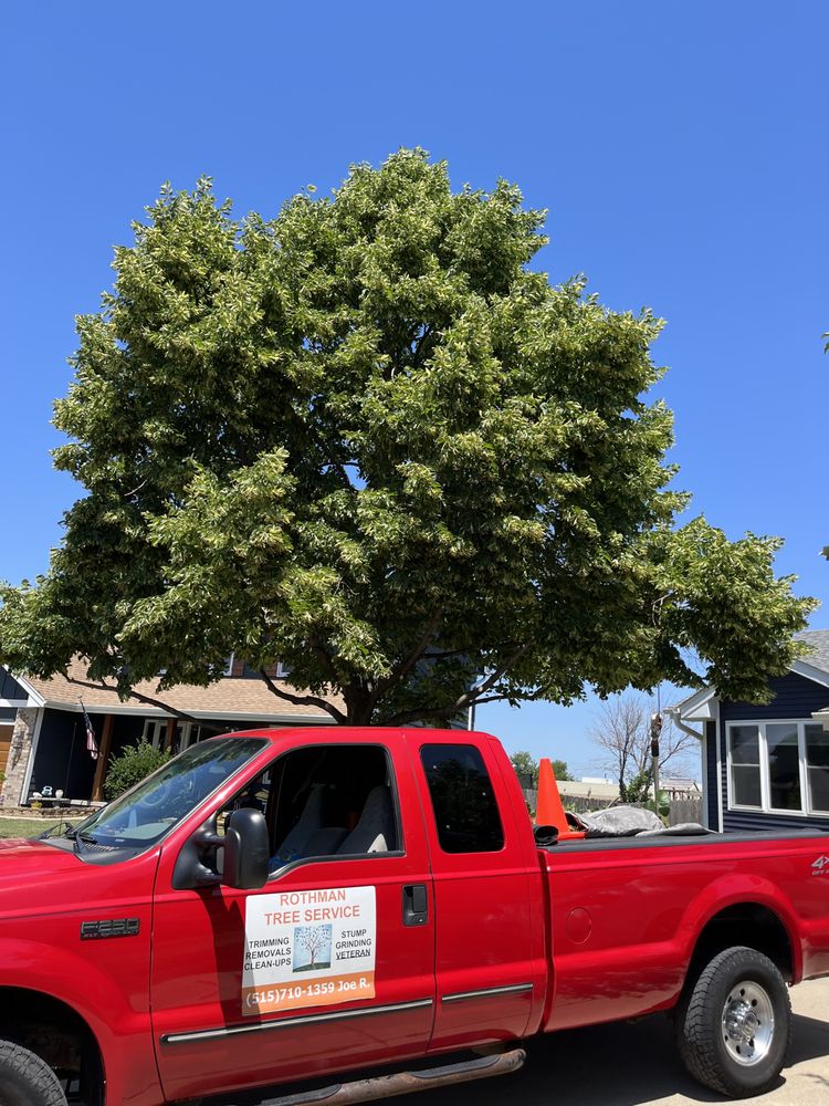 Rothman Tree Service - tree service in Des Moines, IA