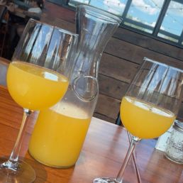 Mimosa carafe Mimosa carafe