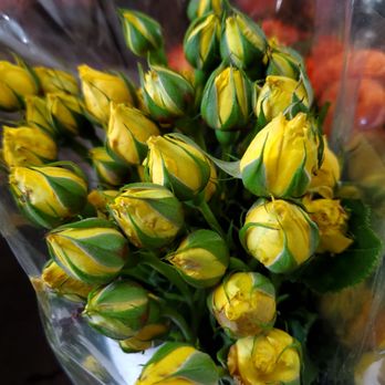 G & J Flower SA - Roses - Wholesale Stores Near Me - Santa Ana, California G & J Flower SA - Roses - Wholesale Stores Near Me - Santa Ana, California