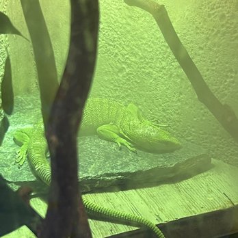 SeaQuest - Folsom - Aquariums Near Me - Folsom, California SeaQuest - Folsom - Aquariums Near Me - Folsom, California