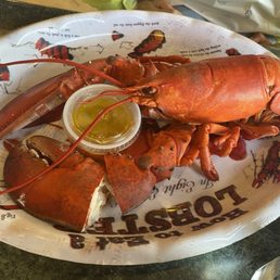 lobster dinner lobster dinner