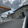 Photo of Shell