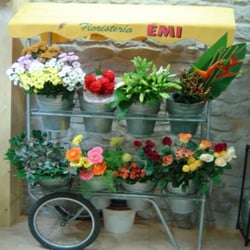 Floristeria EMI