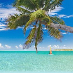 NewGen Travel Group - Caribbean Beaches.