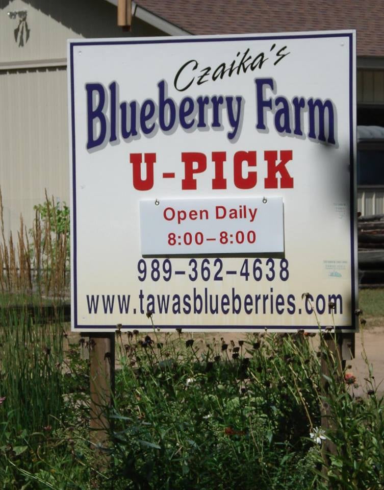 Czaika's Blueberry Farm Logo