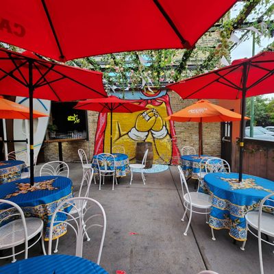 Neon Gardens by null