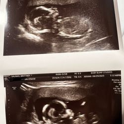 Baby Bump Studios