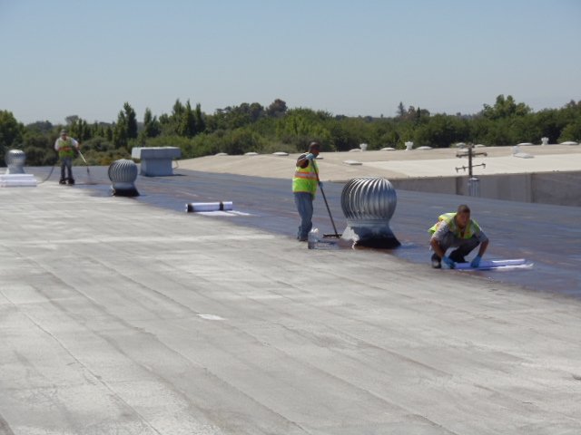 Slide of T.A. Krause