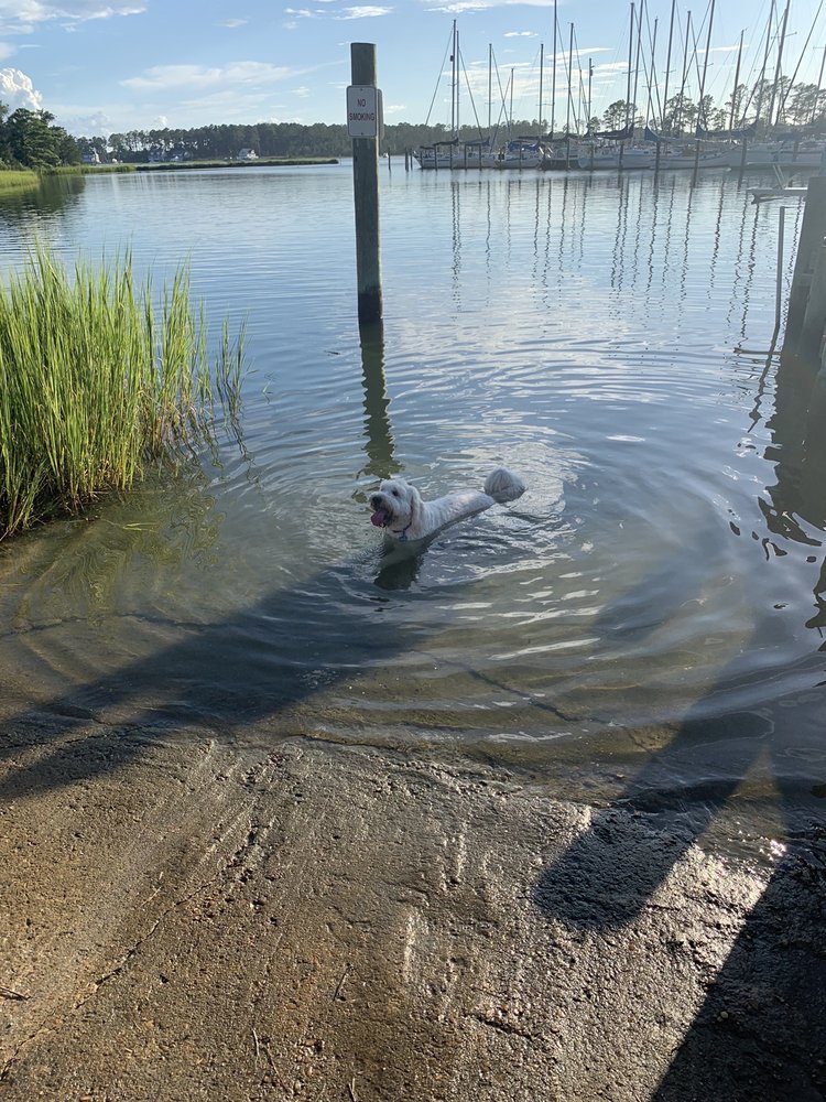 MOBJACK BAY MARINA North, Virginia Boat Repair Phone Number Yelp