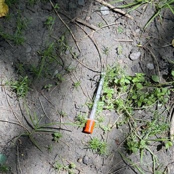 Somerville Community Path - Dirty needle - Parks Near Me Somerville Community Path - Dirty needle - Parks Near Me
