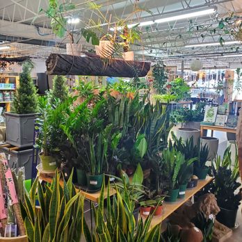 Birdsall & Co - Nurseries & Gardening Near Me - Englewood, Colorado Birdsall & Co - Nurseries & Gardening Near Me - Englewood, Colorado