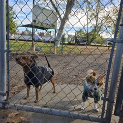 Carmichael Dog Park