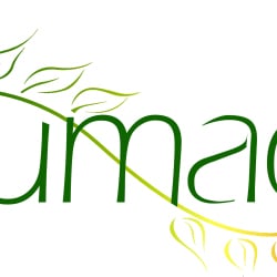 Sumac