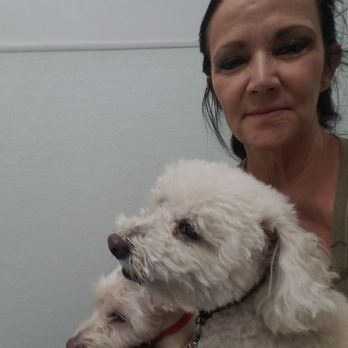 Family VetCare - Mom and the kiddos! - Veterinarians Near Me - Phoenix, Arizona