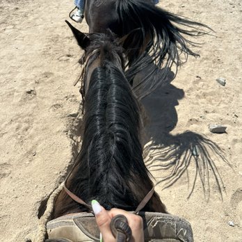 Ponderosa Stables - Such a great ride 3 - Horseback Riding Near Me - Phoenix, Arizona Ponderosa Stables - Such a great ride 3 - Horseback Riding Near Me - Phoenix, Arizona