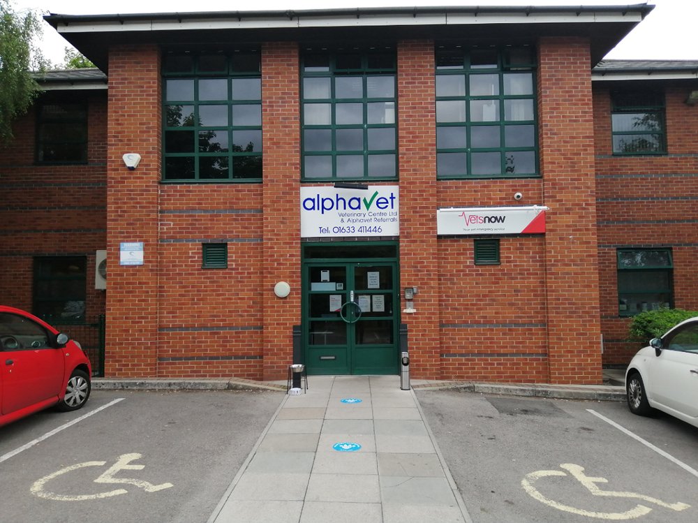 VETS NOW NEWPORT Updated September 2024 Langstone Business Village, Langstone, Newport