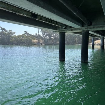Monterey Bay Eco Tours - Going under Hwy 1 - Boat Tours Near Me - Moss Landing, California Monterey Bay Eco Tours - Going under Hwy 1 - Boat Tours Near Me - Moss Landing, California