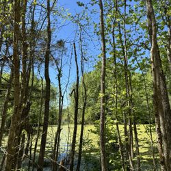 Thousand Trails Oaks at Point South - Inland waterways