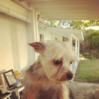 All Valley Pet Grooming and Spa - Pet Groomers Near Me All Valley Pet Grooming and Spa - Pet Groomers Near Me