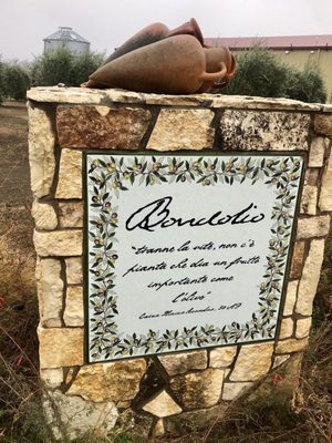 Bondolio Olive Oil by null