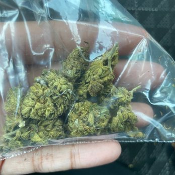Gorilla Deliveries - "Top shelf" weed. - Cannabis Dispensaries Near Me - Chula Vista, California Gorilla Deliveries - "Top shelf" weed. - Cannabis Dispensaries Near Me - Chula Vista, California