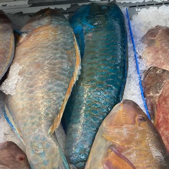 SF Supermarket - beautiful fish - Seafood Markets Near Me - Stockton, California SF Supermarket - beautiful fish - Seafood Markets Near Me - Stockton, California