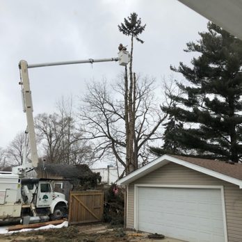 24/7 Tree Services, LLC - Tree removal in Clawson, MI 2019 - Tree Services Near Me - Orion Township, Michigan 24/7 Tree Services, LLC - Tree removal in Clawson, MI 2019 - Tree Services Near Me - Orion Township, Michigan