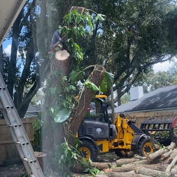 C&C Outdoors - Almost done - Tree Services Near Me - Auburndale, Florida C&C Outdoors - Almost done - Tree Services Near Me - Auburndale, Florida