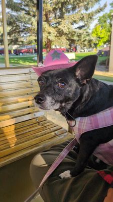 Last Chance Tours by null