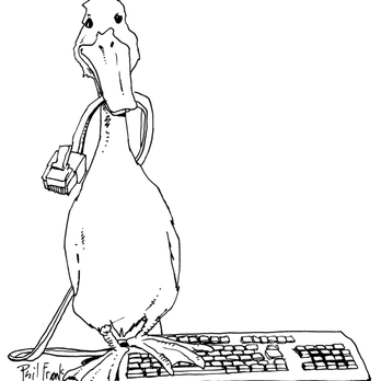 Creative Goose - TechGoose -- our official Mascot and Logo! Tip of the hat to Phil Frank! - IT Services & Computer Repair Near Me Creative Goose - TechGoose -- our official Mascot and Logo! Tip of the hat to Phil Frank! - IT Services & Computer Repair Near Me
