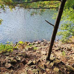 Giuffrida Park - Rocky trail