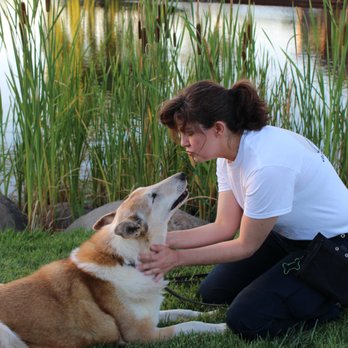 Dogspeak - Kissy-facin' with Vegas - Pet Training Near Me - San Jose, California Dogspeak - Kissy-facin' with Vegas - Pet Training Near Me - San Jose, California