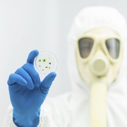 AAI Inspections - Mold testing services