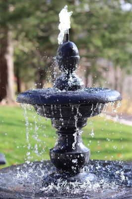 The Roxbury Hotel by null