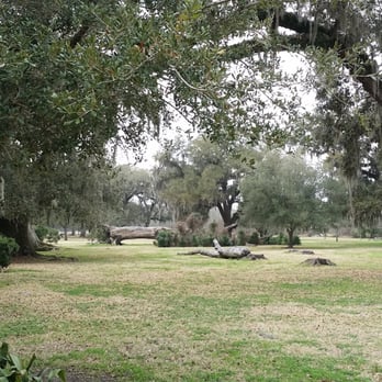 Jungle Gardens - Lovely Bayou - Botanical Gardens Near Me - Avery Island, Louisiana