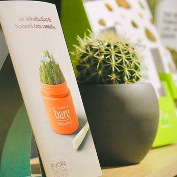 The Hempire Cannabis - Cannabis Dispensaries Near Me - St. Catharines, Ontario The Hempire Cannabis - Cannabis Dispensaries Near Me - St. Catharines, Ontario