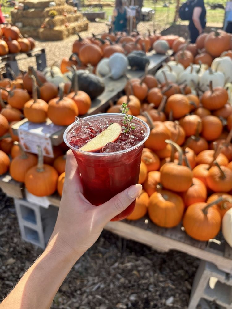 Social spots from Langwater Farm