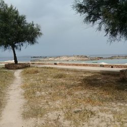 Sa Palmera
