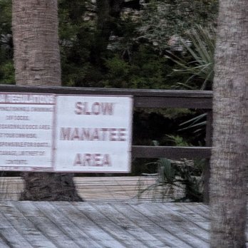 Fiddler's Restaurant and Resort - Seafood Near Me - Steinhatchee, Florida