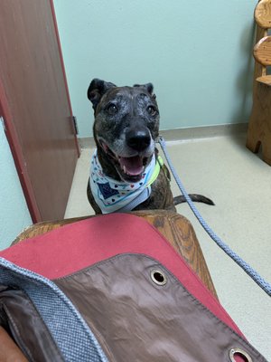 baldwin park veterinary