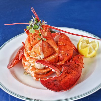 The Nauti Lobstah by null
