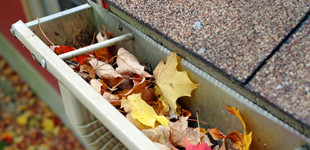 Slide of A Rooter King