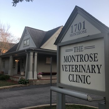 Montrose Veterinary Clinic - Front - Veterinarians Near Me - Houston, Texas Montrose Veterinary Clinic - Front - Veterinarians Near Me - Houston, Texas