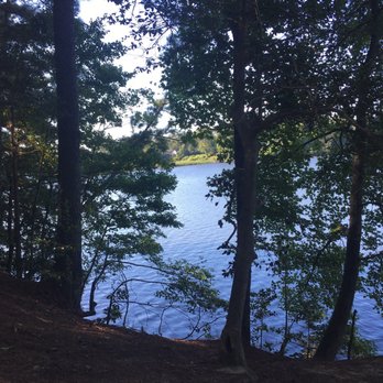 Lake Meade Park - View from wooded walking path area - Parks Near Me - Suffolk, Virginia Lake Meade Park - View from wooded walking path area - Parks Near Me - Suffolk, Virginia